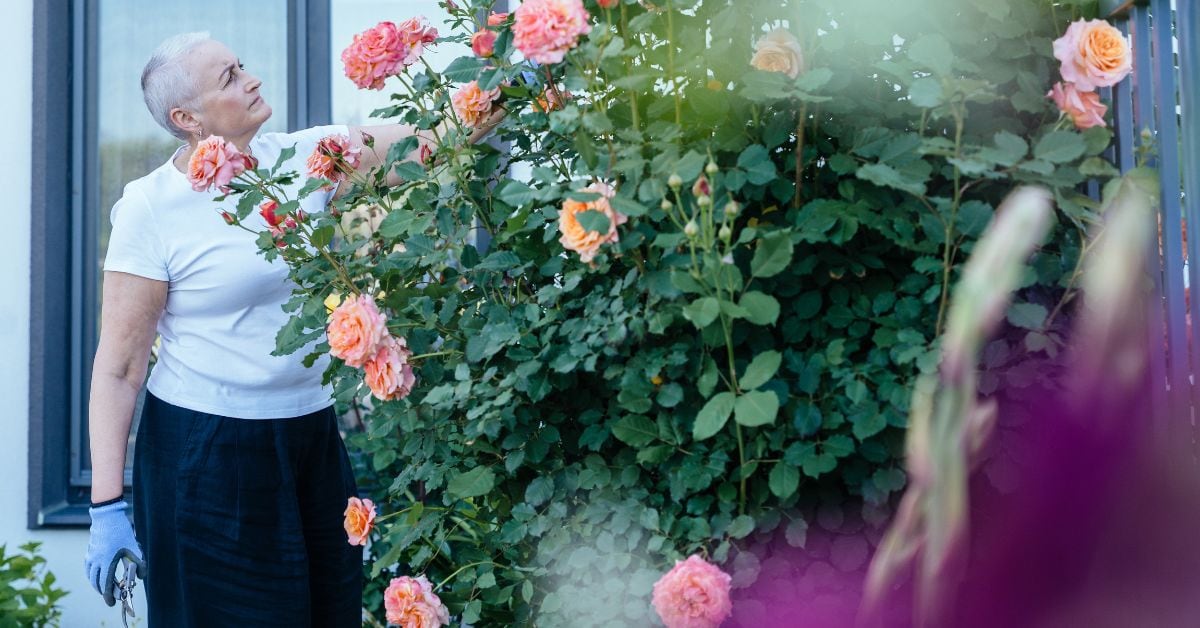 Senior Garden In Residential Care Home